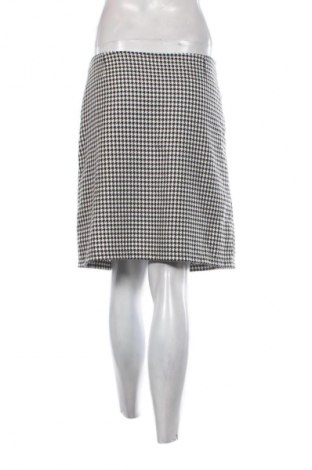 Fustă Unbranded, Mărime XL, Culoare Multicolor, Preț 19,99 Lei