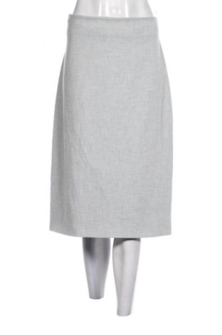 Sukňa Vanilia, Veľkosť XL, Farba Sivá, Cena  1,95 €