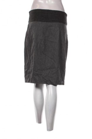 Sukňa Zara, Veľkosť M, Farba Sivá, Cena  1,95 €