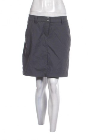 Nohavice so sukňou  Crivit, Veľkosť L, Farba Sivá, Cena  6,95 €