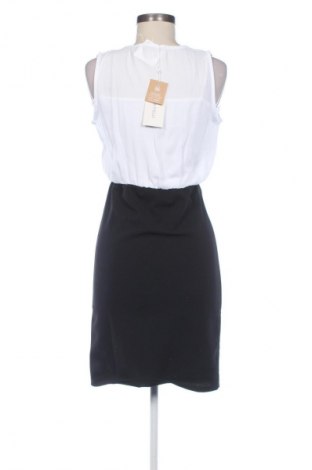 Sukienka Anna Field, Rozmiar XS, Kolor Kolorowy, Cena 103,45 zł