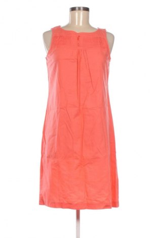 Kleid Esmara, Größe M, Farbe Rosa, Preis 15,94 €