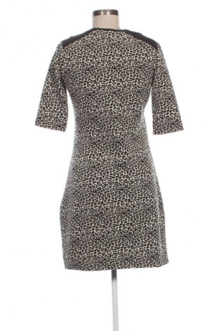 Φόρεμα Maison Scotch, Μέγεθος S, Χρώμα Πολύχρωμο, Τιμή 35,99 €