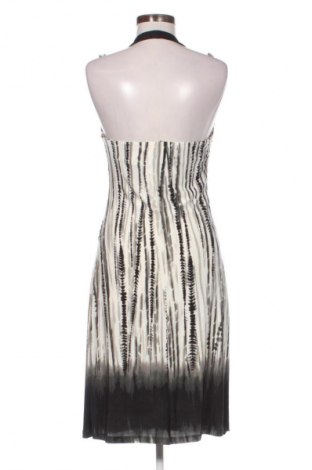 Šaty  Mango, Veľkosť L, Farba Viacfarebná, Cena  15,95 €