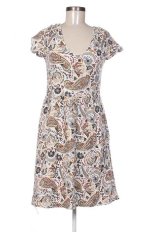 Šaty  Next, Veľkosť M, Farba Viacfarebná, Cena  21,95 €