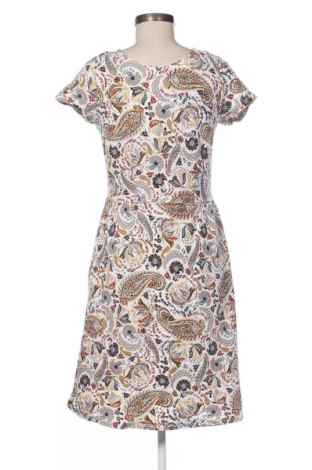 Šaty  Next, Veľkosť M, Farba Viacfarebná, Cena  21,95 €