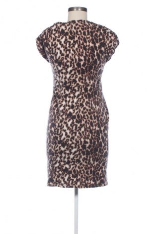 Φόρεμα Next Petite, Μέγεθος M, Χρώμα Πολύχρωμο, Τιμή 7,99 €
