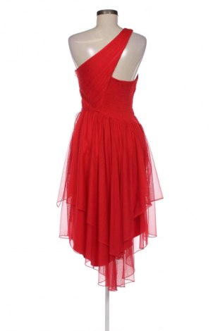 Φόρεμα Veneno en la Piel, Μέγεθος L, Χρώμα Κόκκινο, Τιμή 21,99 €