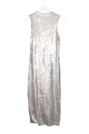 Kleid Zara, Größe S, Farbe Silber, Preis 18,99 €