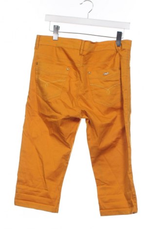 Dámské kalhoty  Miss Cherry, Velikost XS, Barva Oranžová, Cena  49,00 Kč