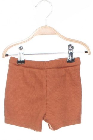 Детски къс панталон Disney, Размер 3-6m/ 62-68 см, Цвят Кафяв, Цена 2,04 €