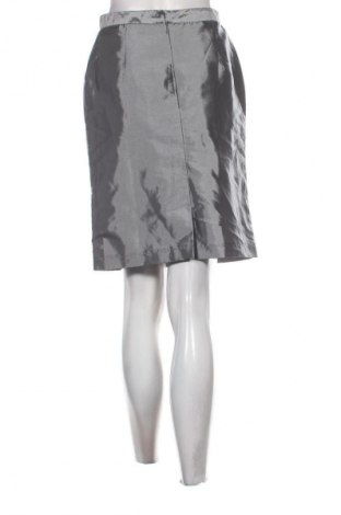 Пола Unbranded, Размер S, Цвят Сребрист, Цена 2,04 €