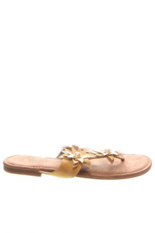 Γυναικείες παντόφλες Young Spirit, Μέγεθος 42, Χρώμα Πολύχρωμο, Τιμή 50,00 €