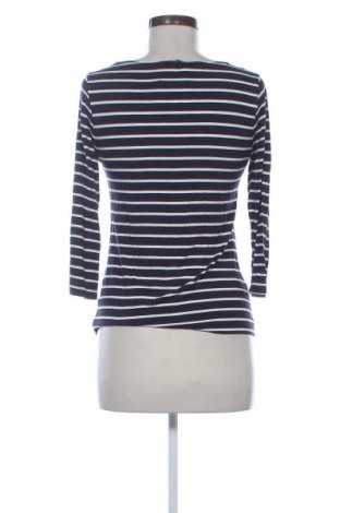 Γυναικεία μπλούζα Betty Barclay, Μέγεθος M, Χρώμα Πολύχρωμο, Τιμή 15,99 €