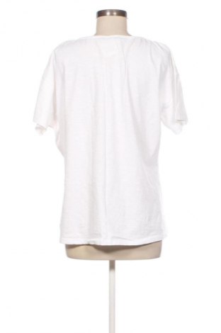 Damen Shirt Betty Barclay, Größe XXL, Farbe Ecru, Preis 18,99 €