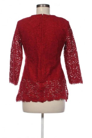 Damen Shirt Boden, Größe M, Farbe Rot, Preis € 12,99