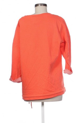 Dámská halenka Cecil, Velikost L, Barva Vícebarevné, Cena  289,00 Kč