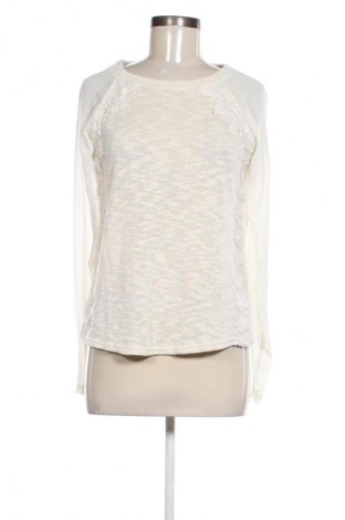 Γυναικεία μπλούζα Gina Benotti, Μέγεθος S, Χρώμα Πολύχρωμο, Τιμή 4,99 €