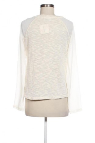 Γυναικεία μπλούζα Gina Benotti, Μέγεθος S, Χρώμα Πολύχρωμο, Τιμή 4,99 €