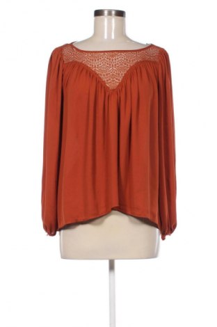 Γυναικεία μπλούζα H&M, Μέγεθος XS, Χρώμα Καφέ, Τιμή 6,99 €