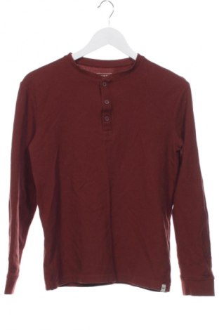 Γυναικεία μπλούζα Jules, Μέγεθος XS, Χρώμα Καφέ, Τιμή 6,99 €