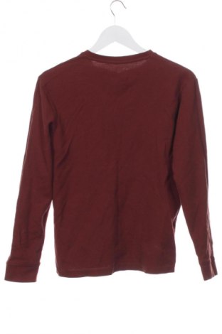 Γυναικεία μπλούζα Jules, Μέγεθος XS, Χρώμα Καφέ, Τιμή 6,99 €