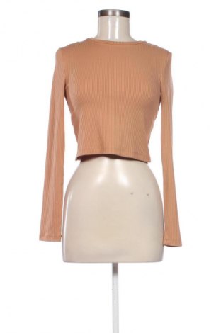Γυναικεία μπλούζα Mango, Μέγεθος M, Χρώμα  Μπέζ, Τιμή 9,99 €