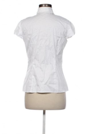 Damen Shirt S.Oliver, Größe M, Farbe Weiß, Preis 12,99 €
