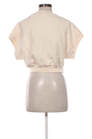 Damen Shirt Tommy Hilfiger, Größe XXS, Farbe Beige, Preis 127,99 €
