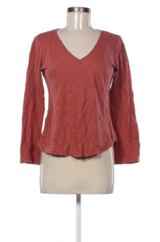 Bluză de femei Unbranded, Mărime M, Culoare Maro, Preț 19,99 Lei