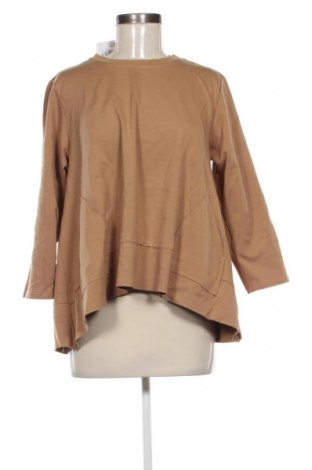 Damen Shirt Unbranded, Größe XXL, Farbe Braun, Preis 9,99 €