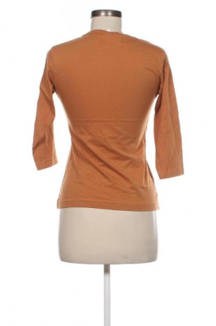 Dámská halenka Unbranded, Velikost S, Barva Hnědá, Cena  259,00 Kč