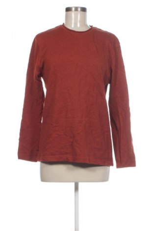 Γυναικεία μπλούζα Zara, Μέγεθος S, Χρώμα Καφέ, Τιμή 4,99 €