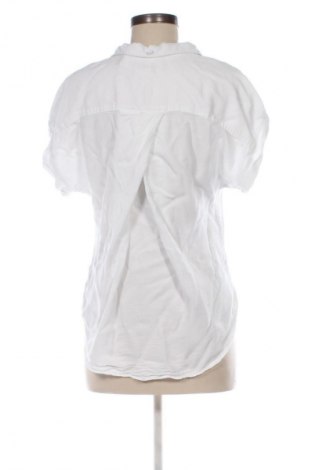 Γυναικείο πουκάμισο Harper, Μέγεθος S, Χρώμα Λευκό, Τιμή 11,99 €