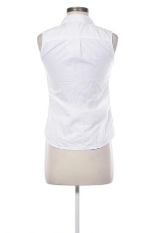 Damska koszula Jack Wills, Rozmiar S, Kolor Biały, Cena 27,99 zł