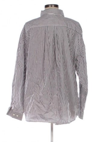 Γυναικείο πουκάμισο Peter Hahn, Μέγεθος XL, Χρώμα Πολύχρωμο, Τιμή 13,99 €