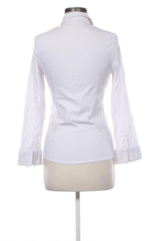 Γυναικείο πουκάμισο Unbranded, Μέγεθος XL, Χρώμα Γκρί, Τιμή 8,99 €