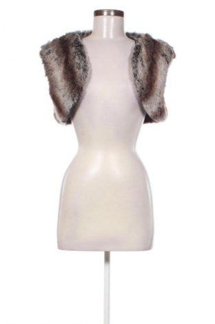 Γυναικείο γιλέκο Next, Μέγεθος M, Χρώμα Πολύχρωμο, Τιμή 9,85 €