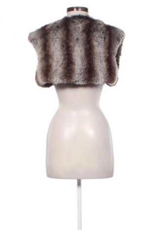 Γυναικείο γιλέκο Next, Μέγεθος M, Χρώμα Πολύχρωμο, Τιμή 9,85 €