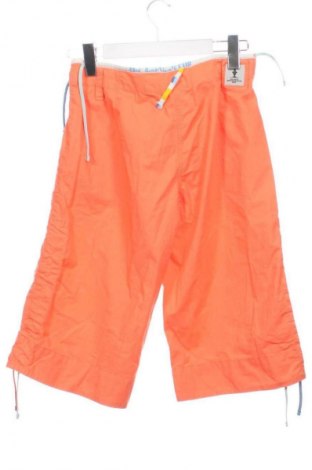 Γυναικείο κοντό παντελόνι Murphy & Nye, Μέγεθος S, Χρώμα Πολύχρωμο, Τιμή 17,99 €