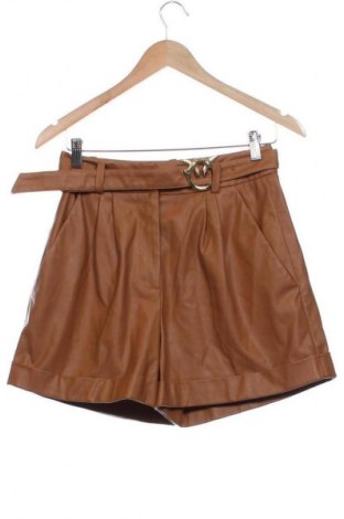 Damen Shorts Pinko, Größe XS, Farbe Braun, Preis 43,99 €