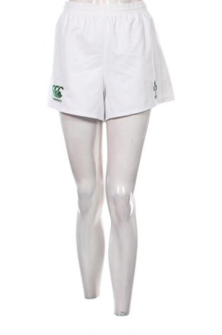 Damskie szorty Unbranded, Rozmiar XL, Kolor Biały, Cena 94,46 zł