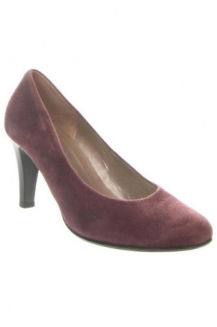 Dámske topánky  Gabor, Veľkosť 38, Farba Fialová, Cena  42,19 €