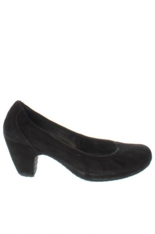 Dámske topánky  Hogl, Veľkosť 38, Farba Čierna, Cena  119,95 €