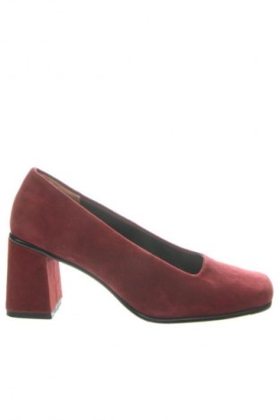 Dámske topánky  Janet D., Veľkosť 38, Farba Hnedá, Cena  15,95 €