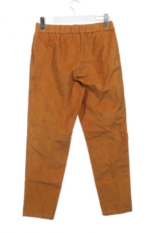 Dámské kalhoty  Goldwin, Velikost XS, Barva Oranžová, Cena  269,00 Kč