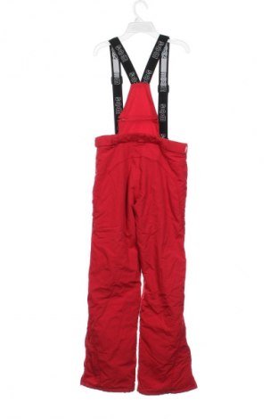 Дамски панталон за зимни спортове Sam, Размер M, Цвят Червен, Цена 28,12 €