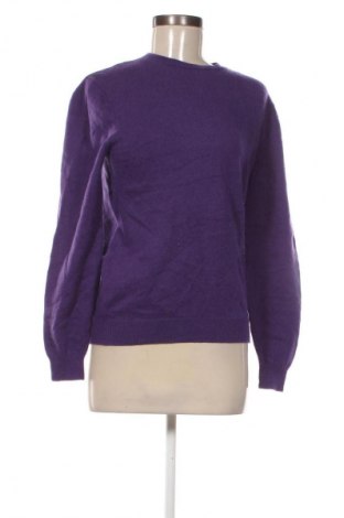 Damenpullover Massimo Dutti, Größe M, Farbe Lila, Preis 38,99 €
