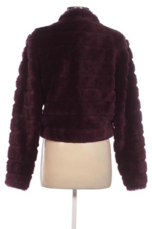 Dámsky kabát  Yessica, Veľkosť M, Farba Fialová, Cena  22,95 €
