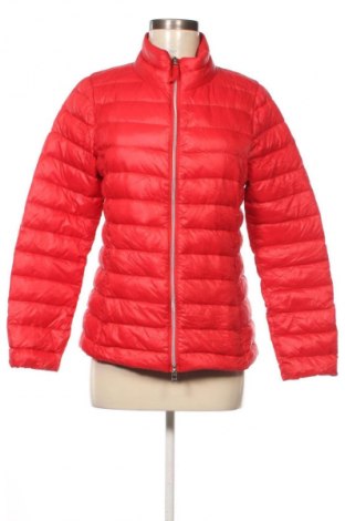 Dámská bunda  Darling Harbour, Velikost M, Barva Červená, Cena  549,00 Kč